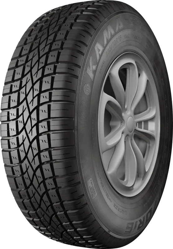 KAMA-221 в Пошехонье — KAMA TYRES KAMA-221 в Пошехонье